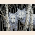 Набор для вышивания нитками DIMENSIONS  "Волки"